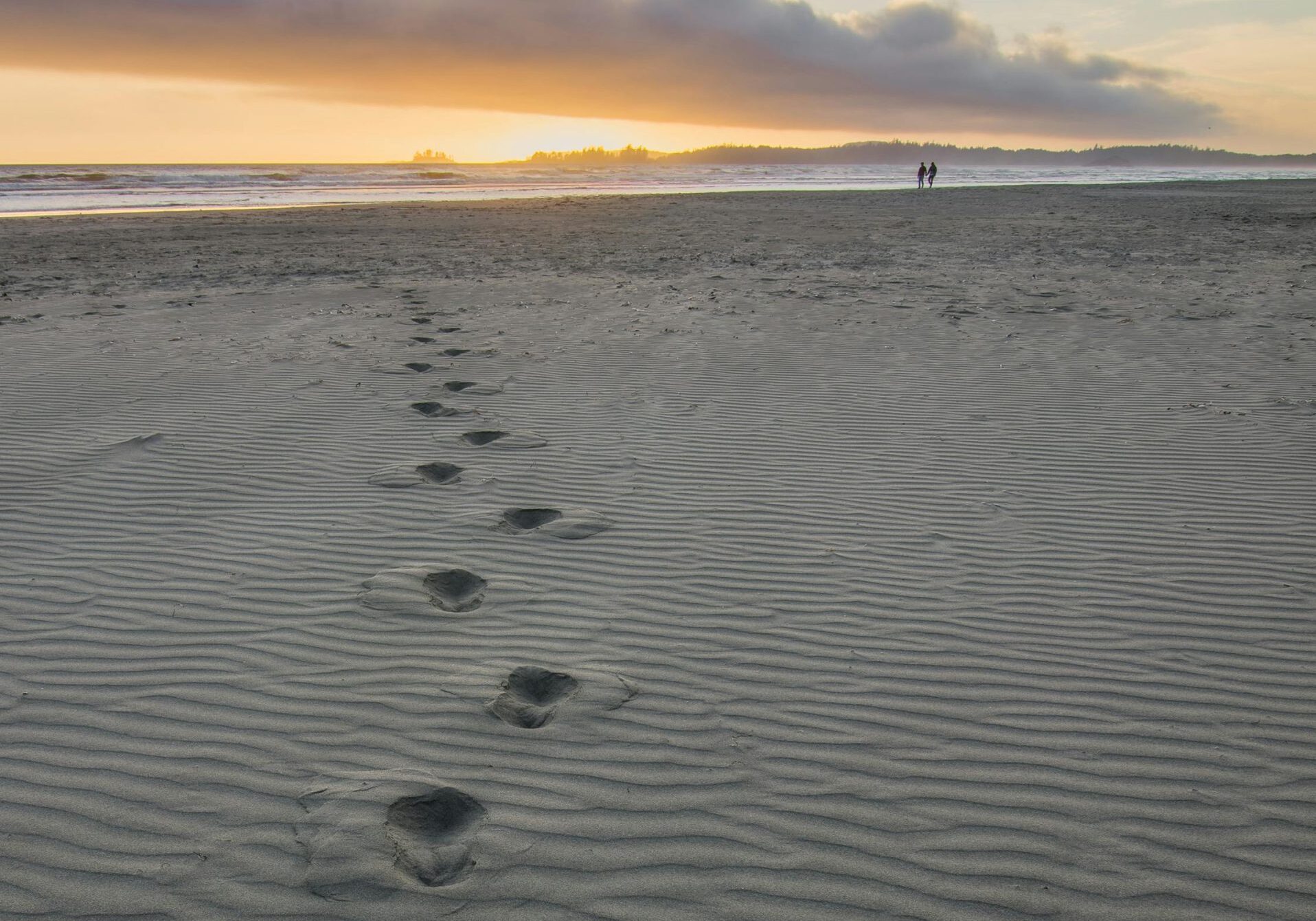 pexels-souvenirpixels-1522285